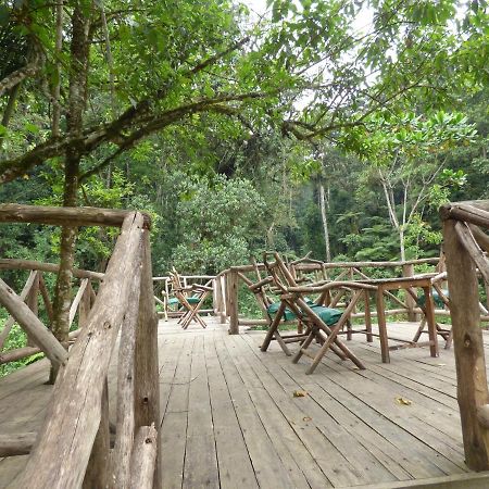 Nshongi Camp Hotel Rubuguli ภายนอก รูปภาพ