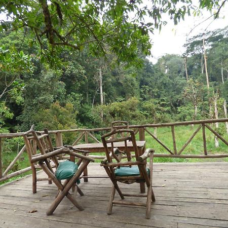 Nshongi Camp Hotel Rubuguli ภายนอก รูปภาพ