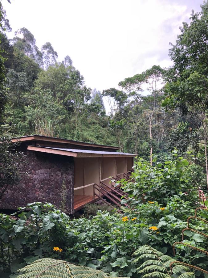 Nshongi Camp Hotel Rubuguli ภายนอก รูปภาพ