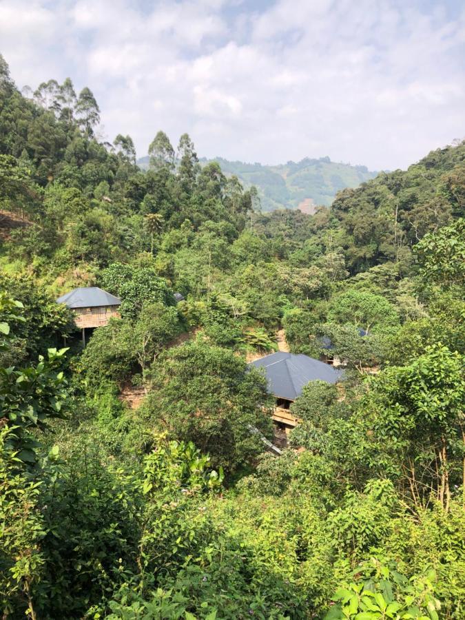 Nshongi Camp Hotel Rubuguli ภายนอก รูปภาพ