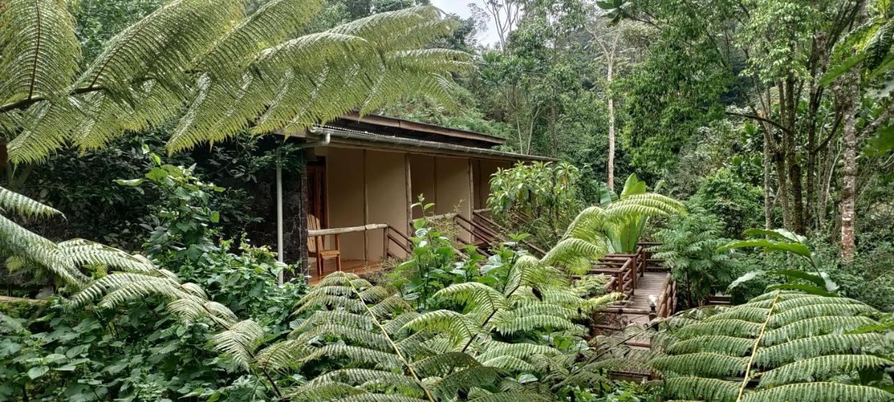 Nshongi Camp Hotel Rubuguli ภายนอก รูปภาพ